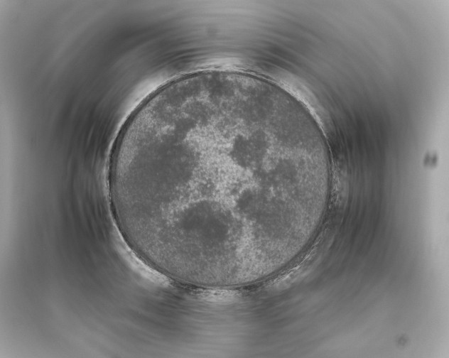 X0000094821090200711301624