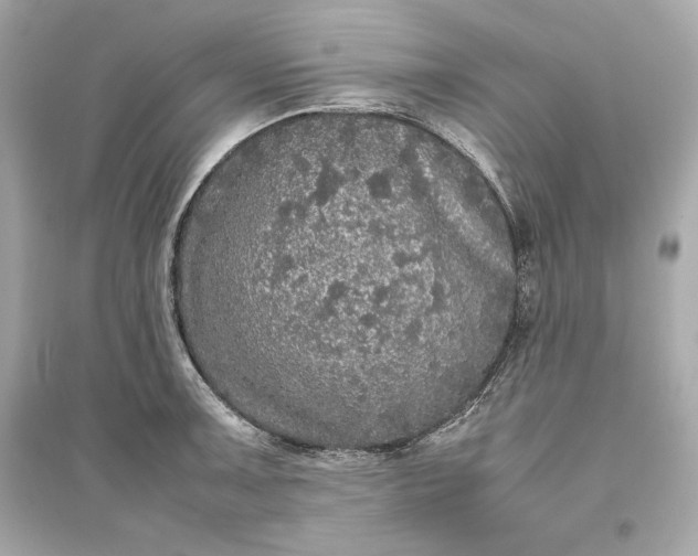 X0000094821091200711301624