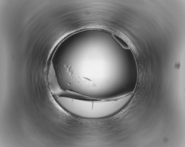 X0000094821092200711301624