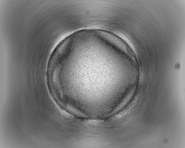 X0000094821093200711301624