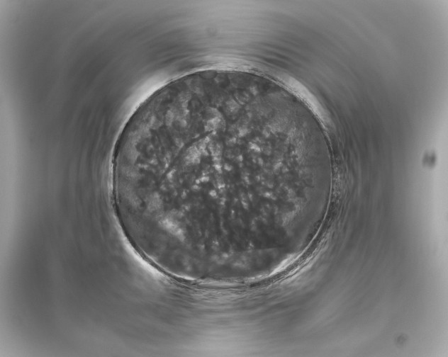 X0000094821095200711301624