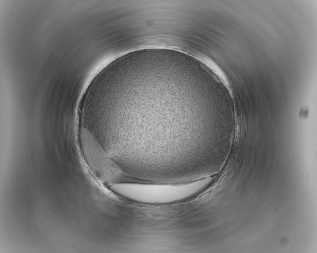 X0000094821096200711301624