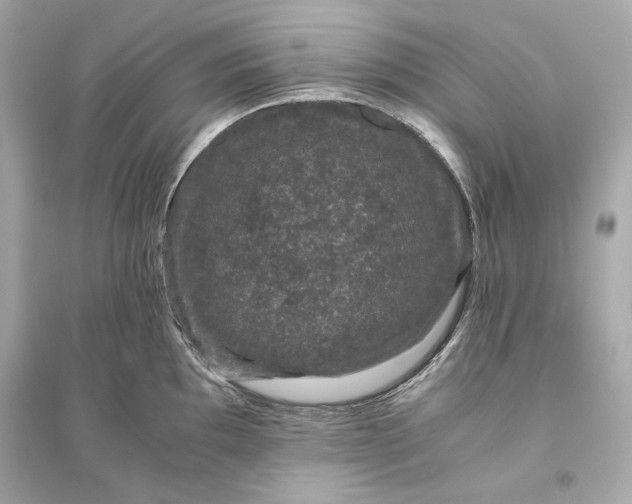 X0000094821097200711301624