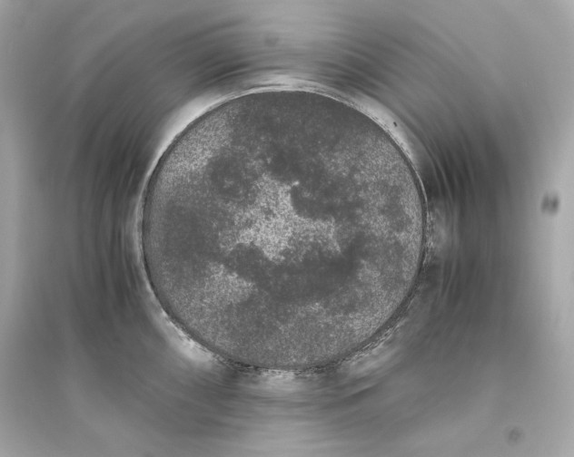 X0000094821098200711301624