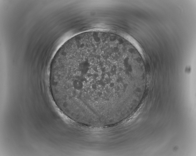 X0000094821099200711301624