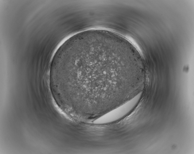 X0000094821100200711301624