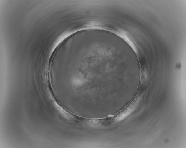 X0000094821101200711301624