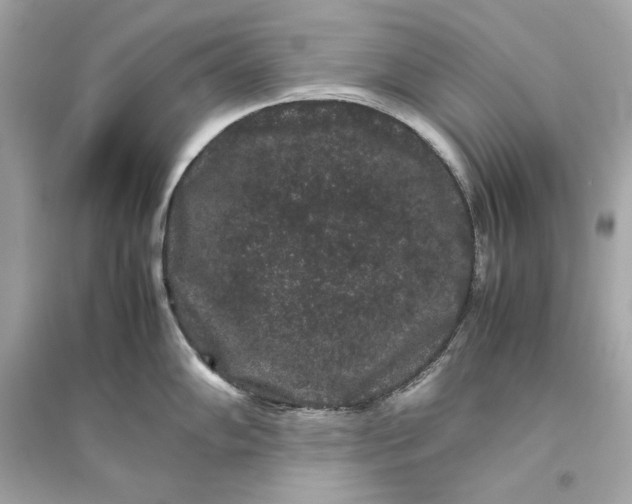 X0000094821102200711301624