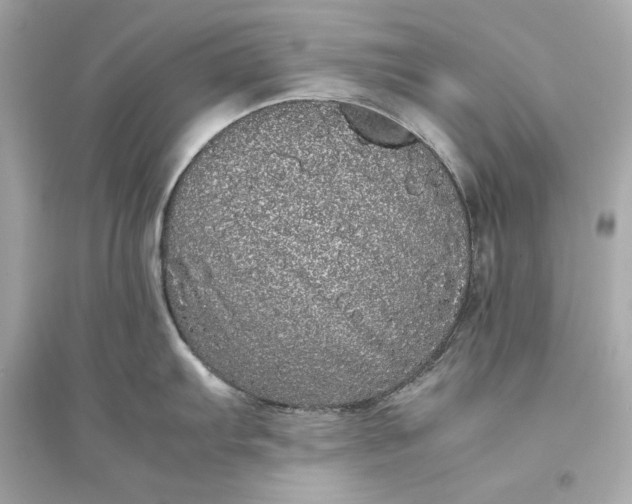 X0000094821103200711301624