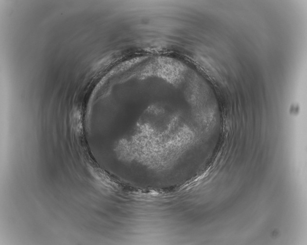 X0000094821106200711301623