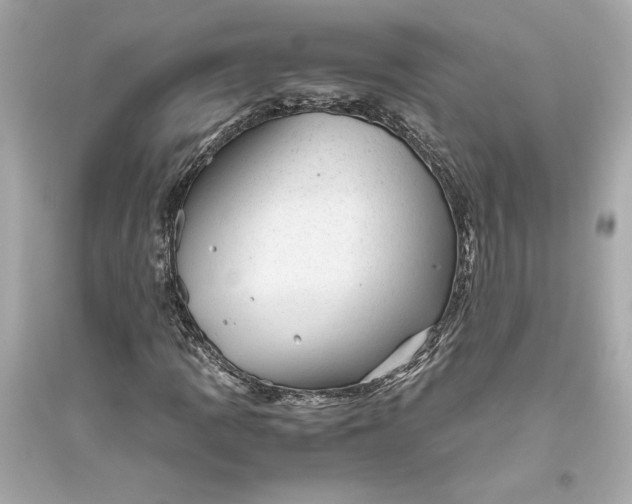 X0000094821109200711301623