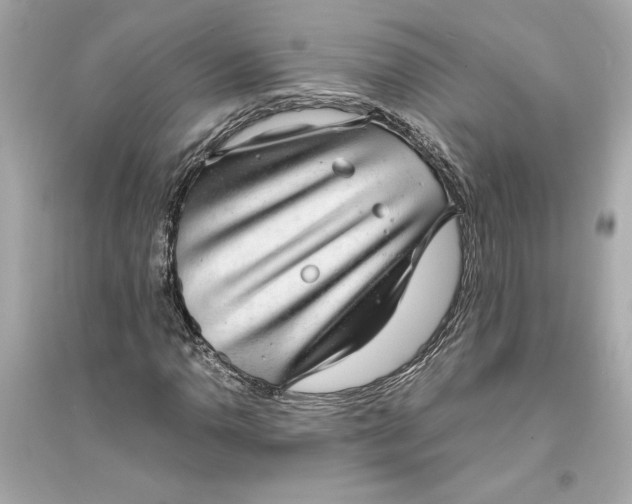 X0000094821110200711301624