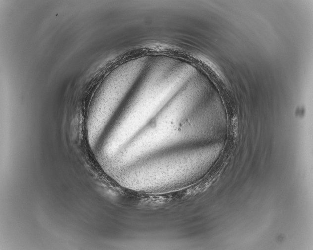 X0000094821111200711301624