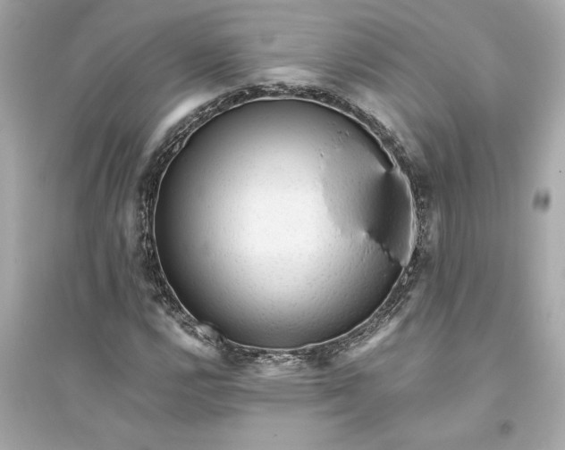 X0000094821112200711301624