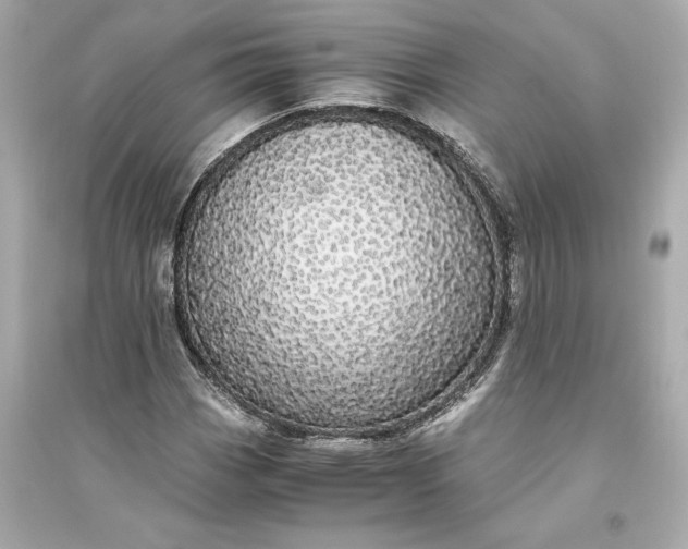 X0000094821113200711301624