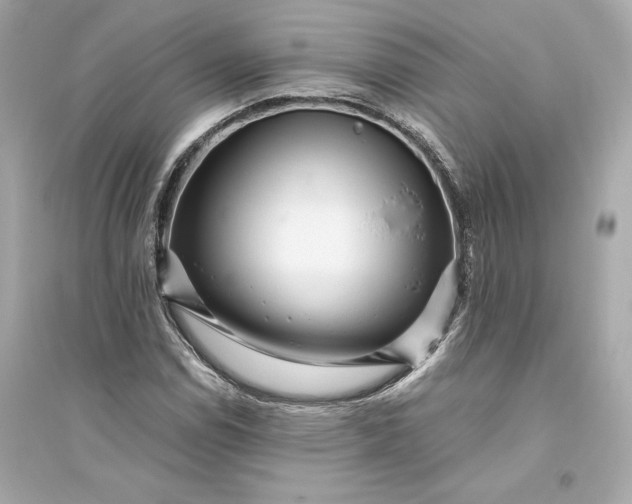 X0000094821114200711301624