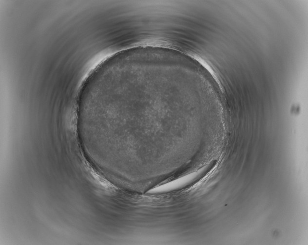 X0000094821115200711301624