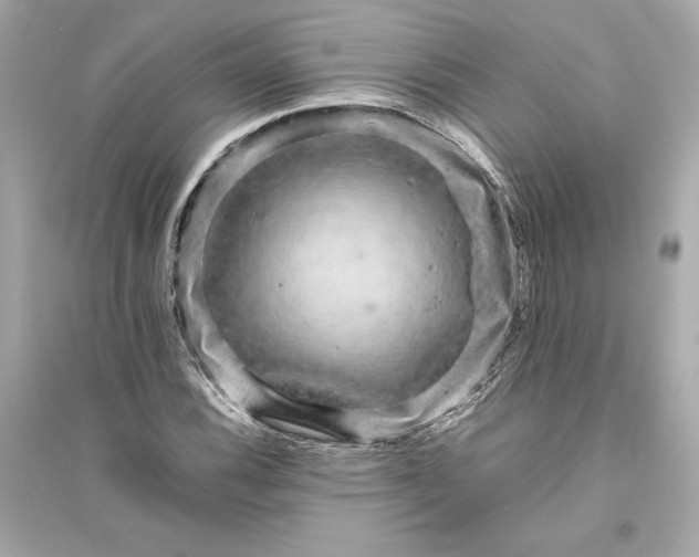 X0000094821116200711301624