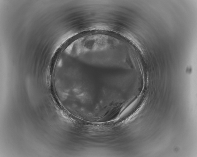 X0000094821117200711301624