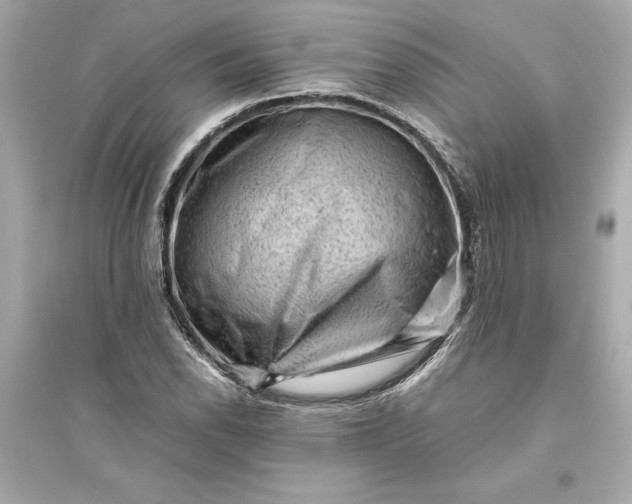 X0000094821118200711301624