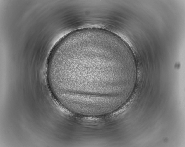 X0000094821119200711301624