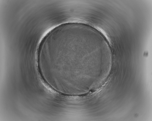 X0000094821120200711301624