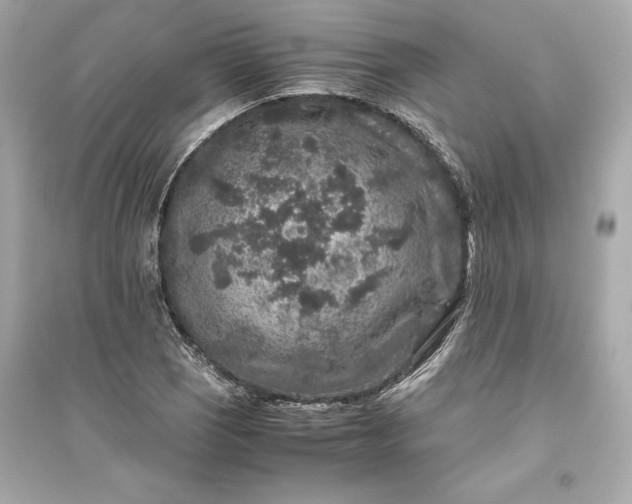 X0000094821121200711301624