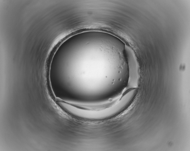 X0000094821122200711301624