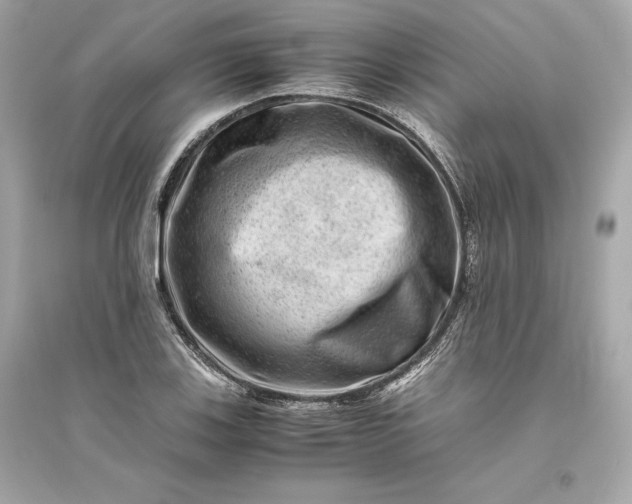 X0000094821123200711301624