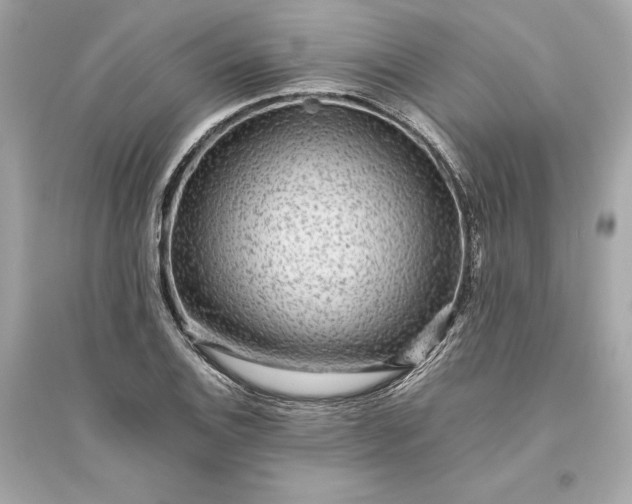 X0000094821124200711301624