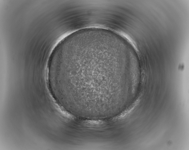 X0000094821125200711301624