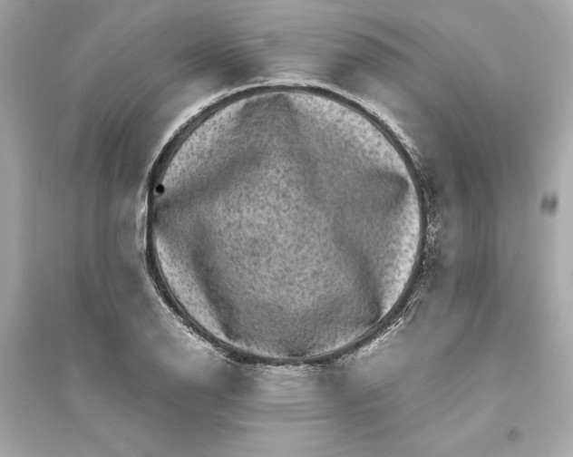 X0000094821126200711301624