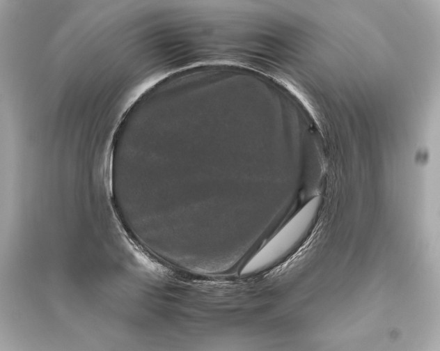 X0000094821127200711301624