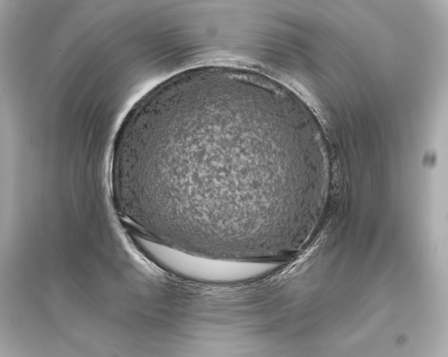 X0000094821128200711301624