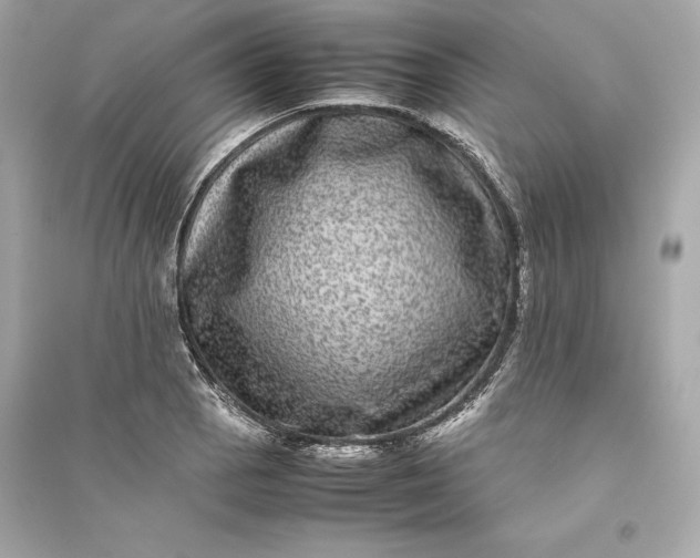 X0000094821129200711301624