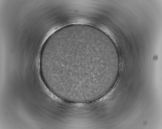 X0000094821130200711301624