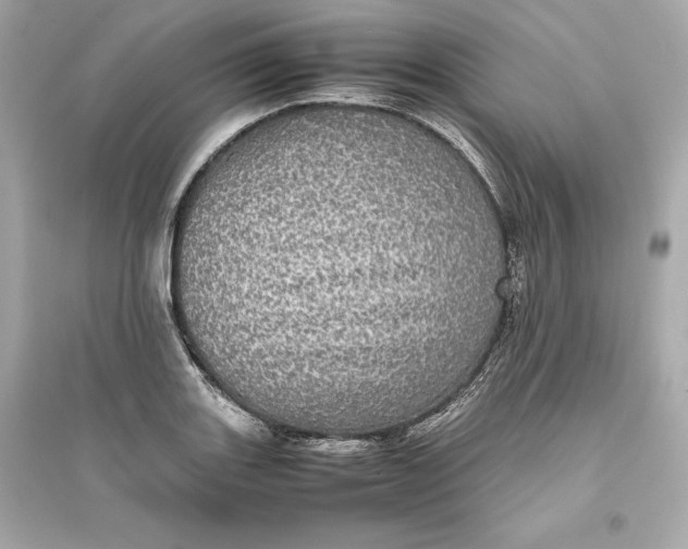 X0000094821131200711301624