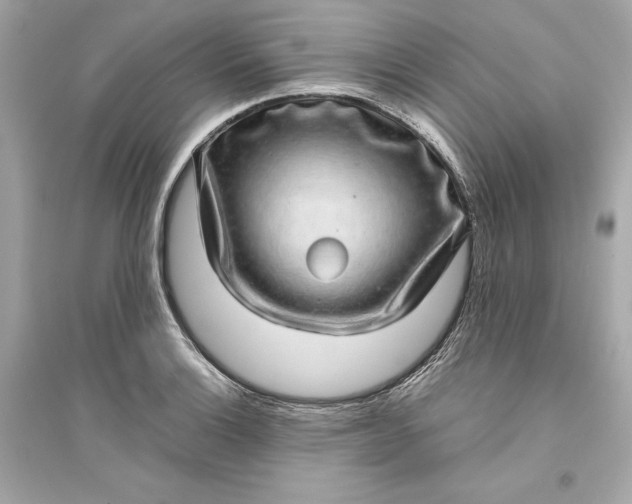 X0000094821132200711301624