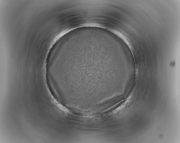 X0000094821133200711301624