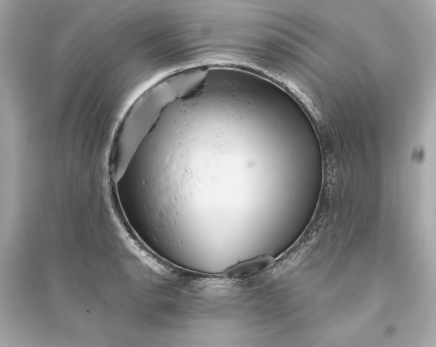 X0000094821134200711301624