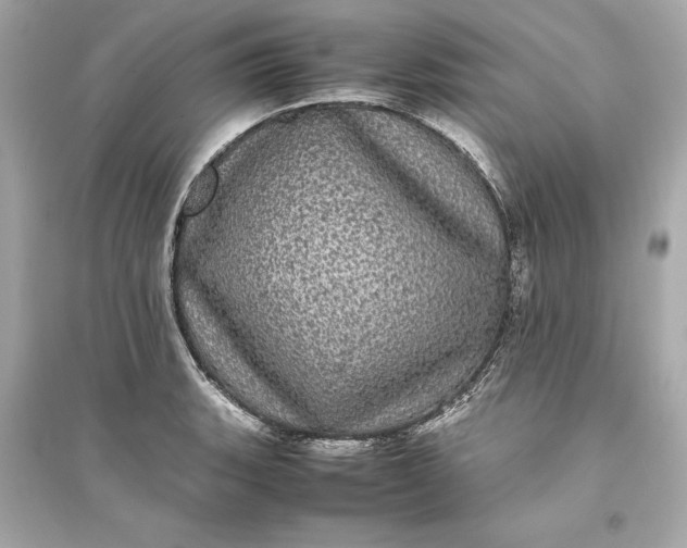 X0000094821135200711301624