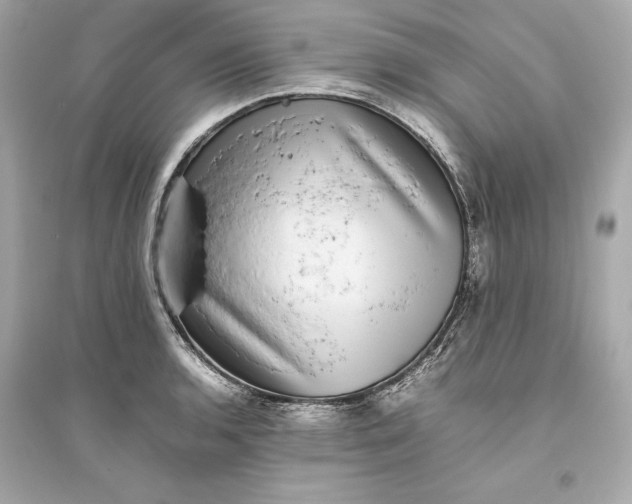 X0000094821136200711301624