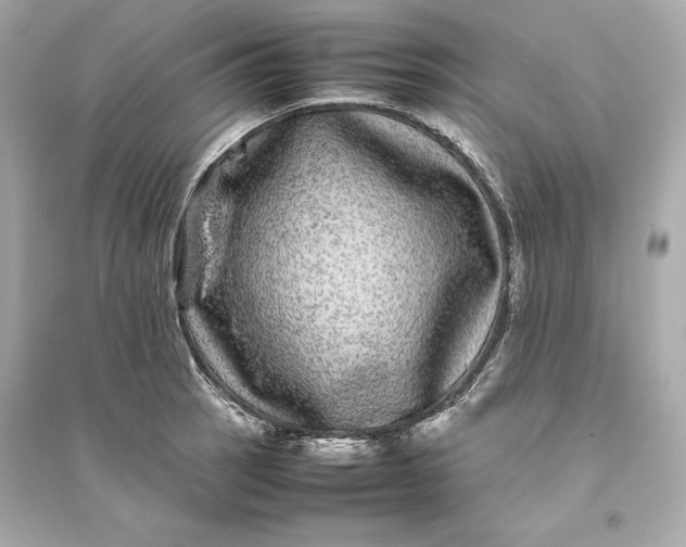 X0000094821137200711301624