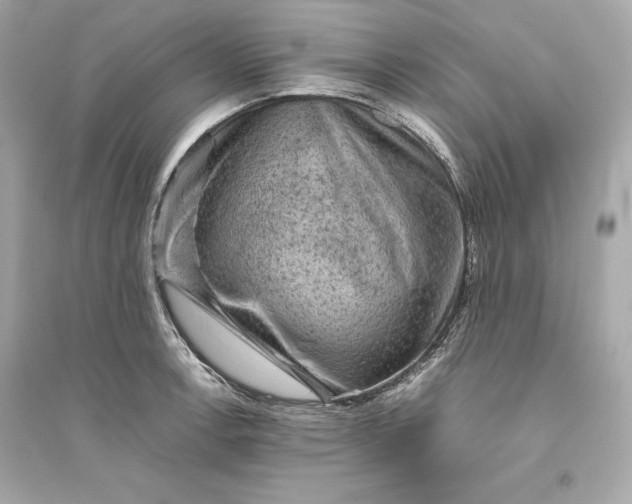 X0000094821138200711301624