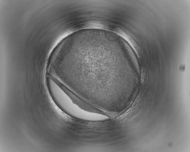 X0000094821139200711301624