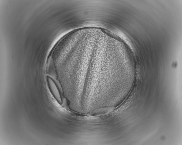 X0000094821140200711301624