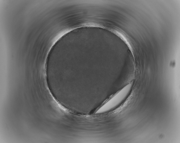 X0000094821141200711301624