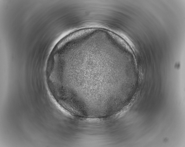 X0000094821142200711301624