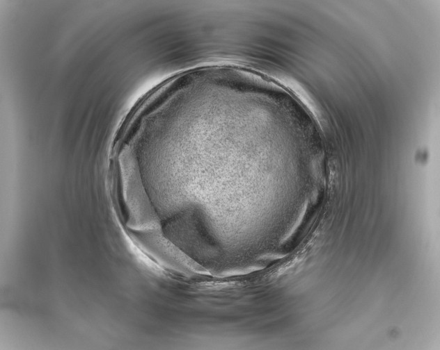 X0000094821143200711301624