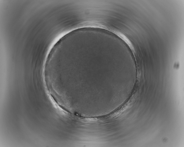 X0000094821144200711301624